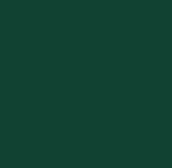 Зелёный мох RAL 6005 